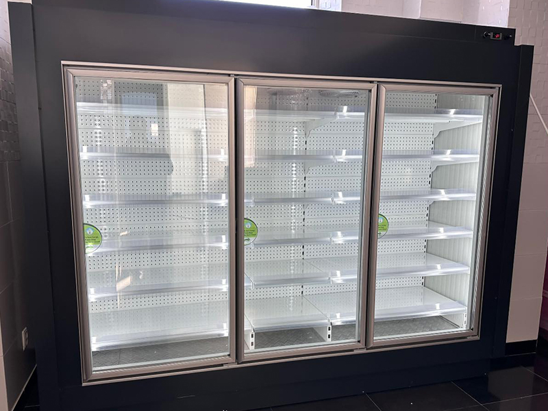 Vitrina pastrare produse congelate. Usi batante 2,5 m